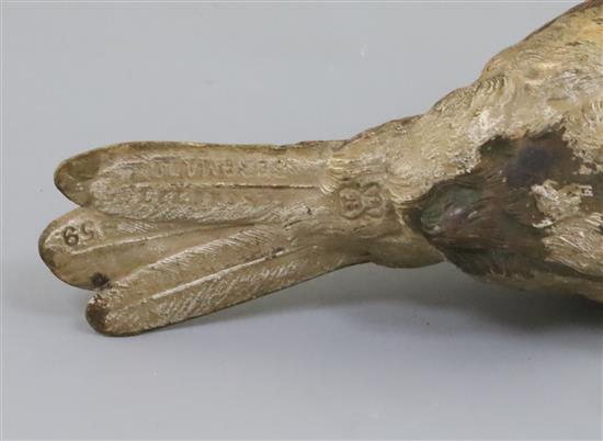 A Franz Bergman cold plated bronze model of a bird, 6in.